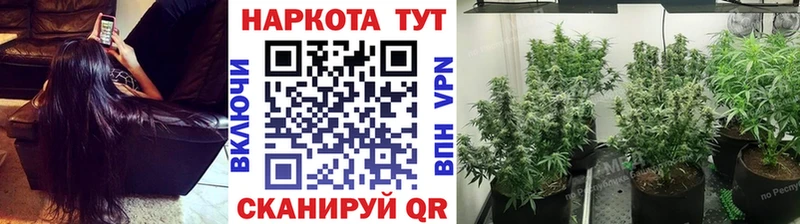 Цена Выборг ОМГ ОМГ tor  ГАШ  Конопля  Cocaine  A-PVP 
