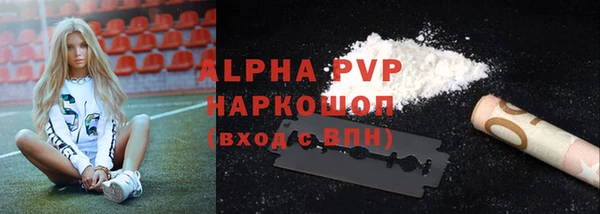 шишки Аркадак