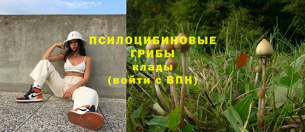 соль курить ск Белокуриха