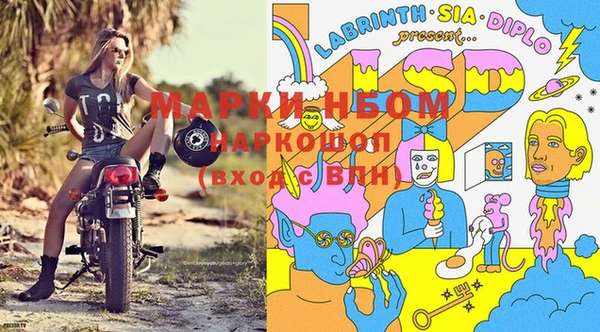 гидра Саяногорск