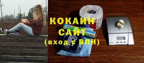 соль курить ск Белокуриха