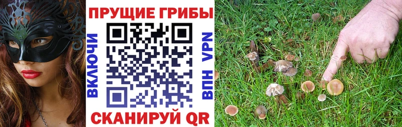 Галлюциногенные грибы мухоморы кракен ONION Выборг